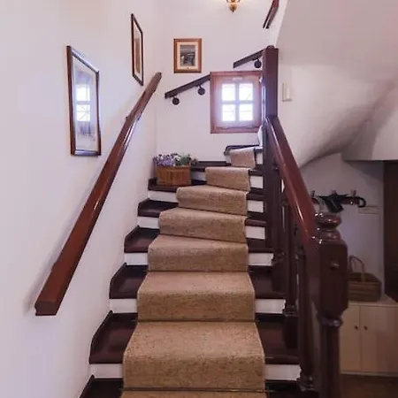 Zeusplace Magic Traditional Apartment