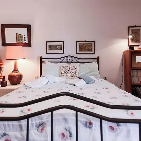 Zeusplace Magic Pool *