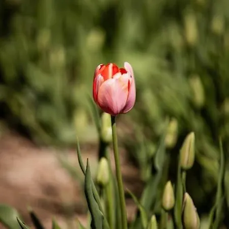Zeusplace Magic Pool