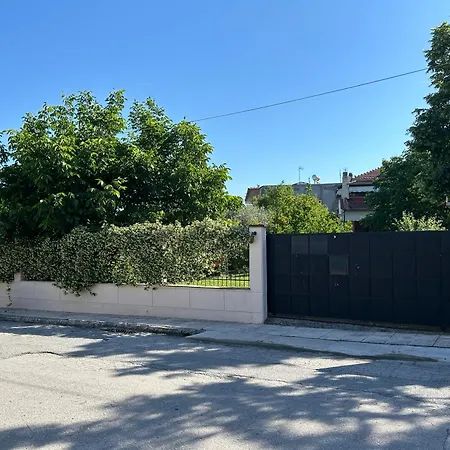 Zeusplace Magic Pool *