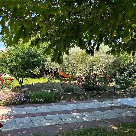 Zeusplace Magic Pool *