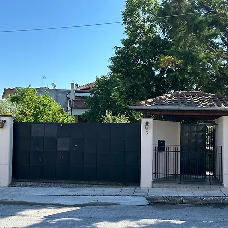 Zeusplace Magic Pool *