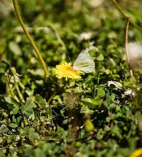 Apartament Zeusplace Magic Pool