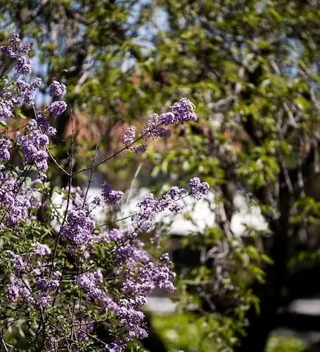 Apartament Zeusplace Magic Pool Aiginio