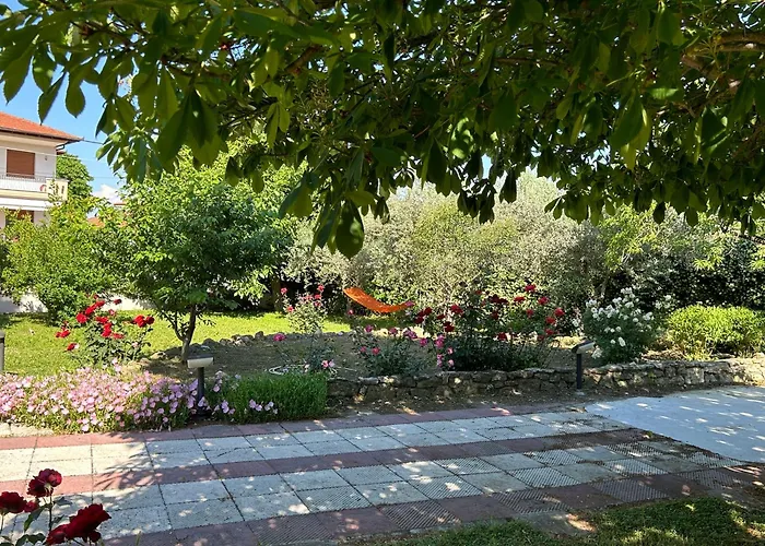 Zeusplace Magic Pool *